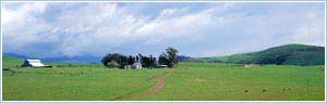 Trucking, road transport freight transportation
, loads for trucking
, passing trucks for transportation of goods, delivery cargo.
